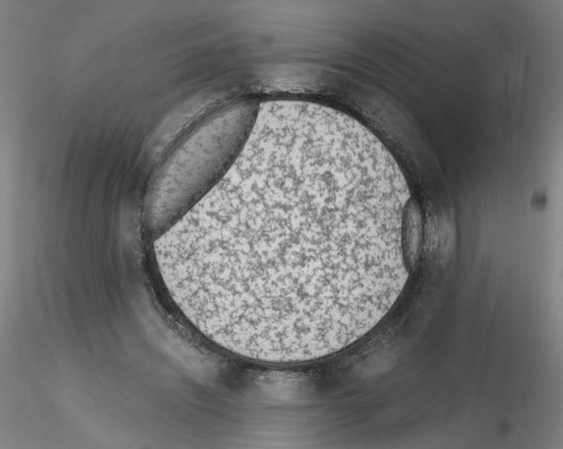 X0000115600444200912221149