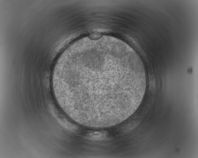 X0000115600447200912221149