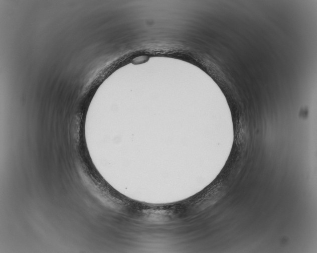 X0000115600448200912221149