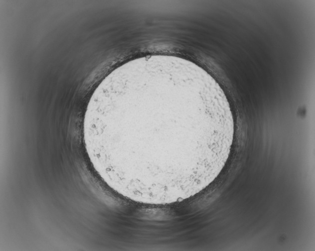 X0000115600449200912221149