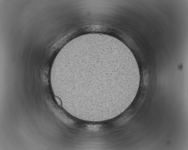 X0000115600450200912221149