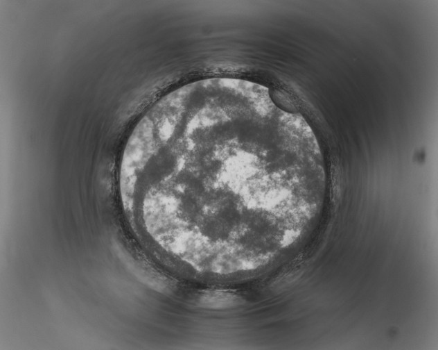 X0000115600451200912221149