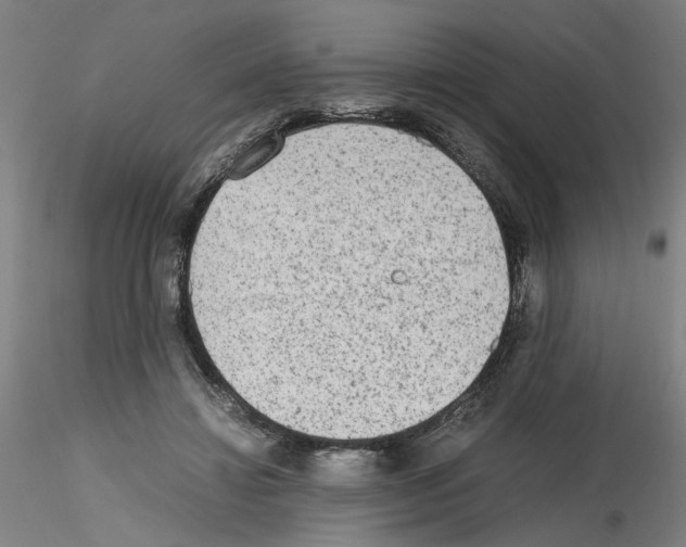 X0000115600452200912221149