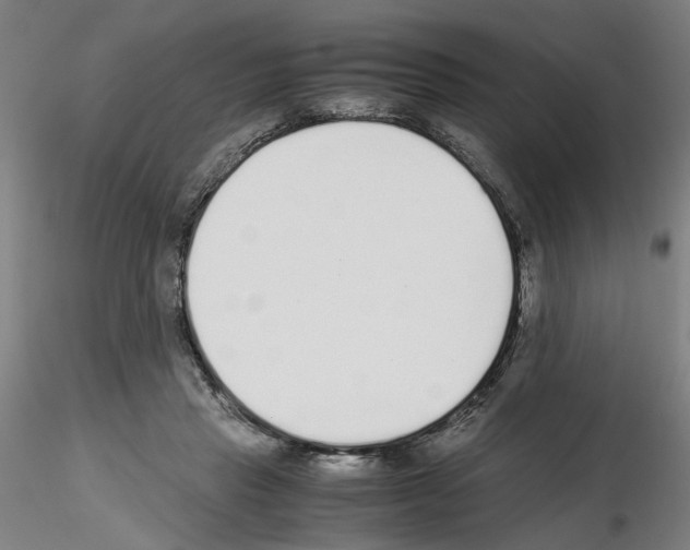 X0000115600453200912221150