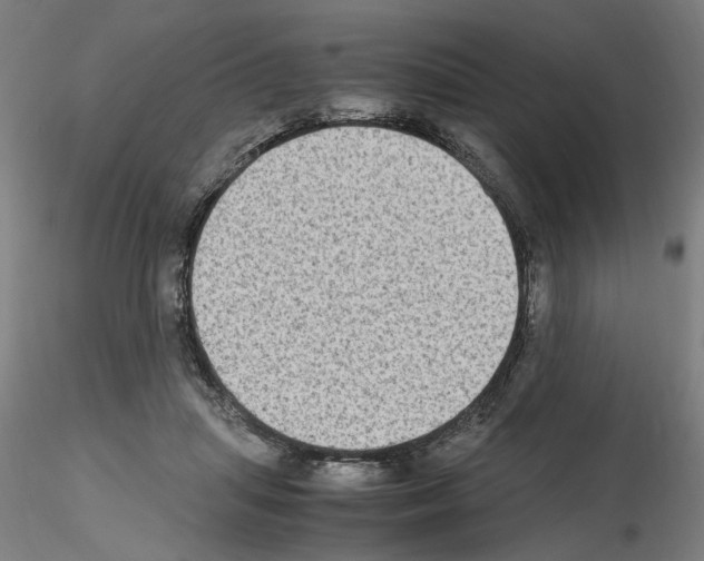 X0000115600455200912221150