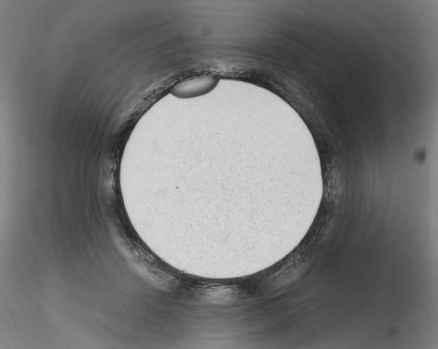 X0000115600456200912221150