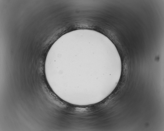 X0000115600457200912221150