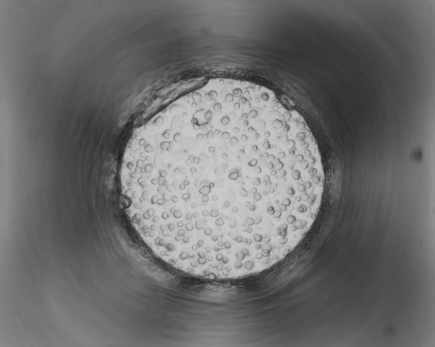 X0000115600458200912221150