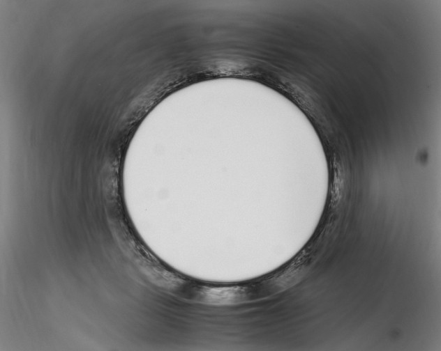 X0000115600461200912221150