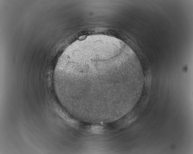 X0000115600462200912221150