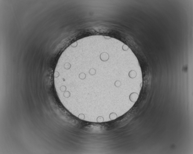 X0000115600464200912221150