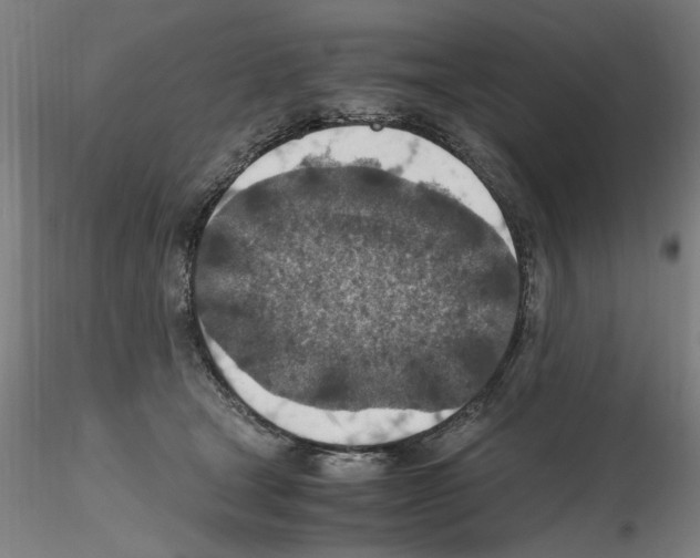 X0000115600465200912221150