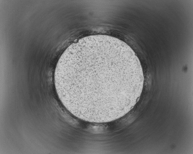 X0000115600466200912221150