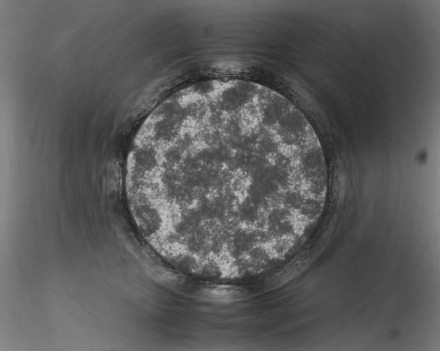 X0000115600467200912221150