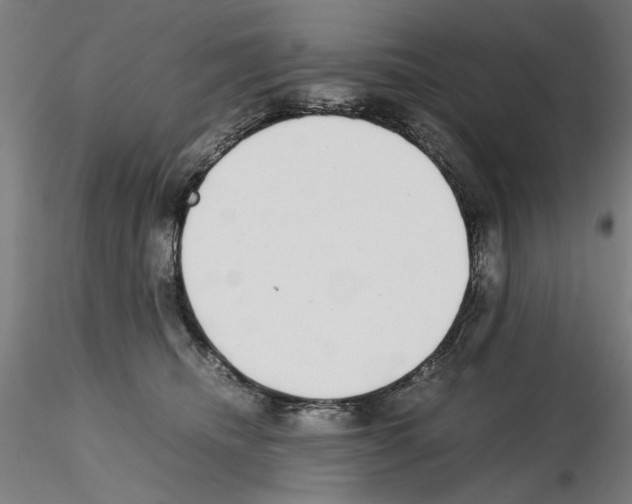 X0000115600468200912221150