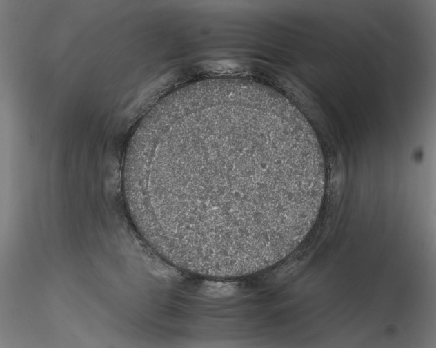 X0000115600469200912221150