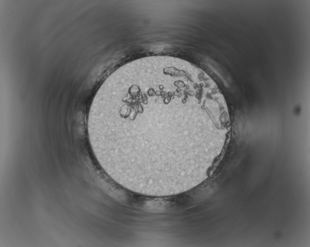 X0000115600470200912221150