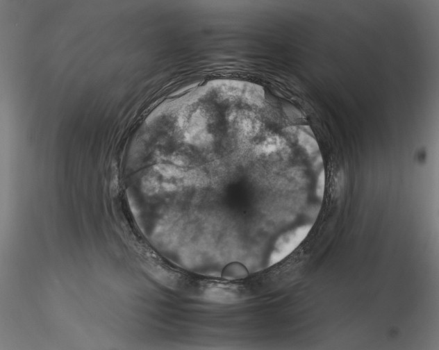 X0000115600471200912221150