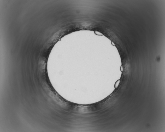 X0000115600472200912221150