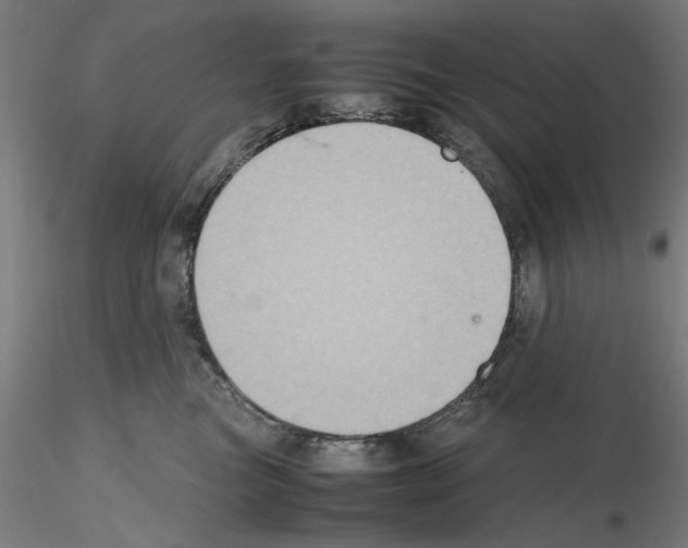 X0000115600473200912221150