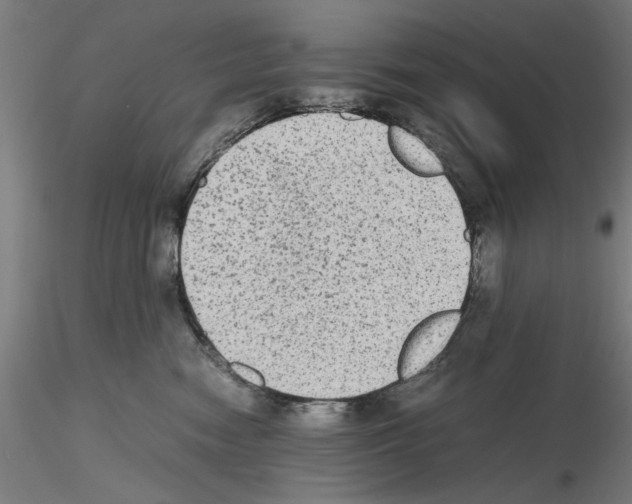 X0000115600474200912221150