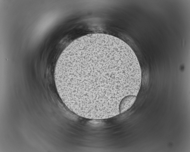 X0000115600477200912221150