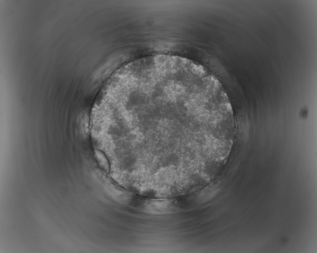 X0000115600479200912221150