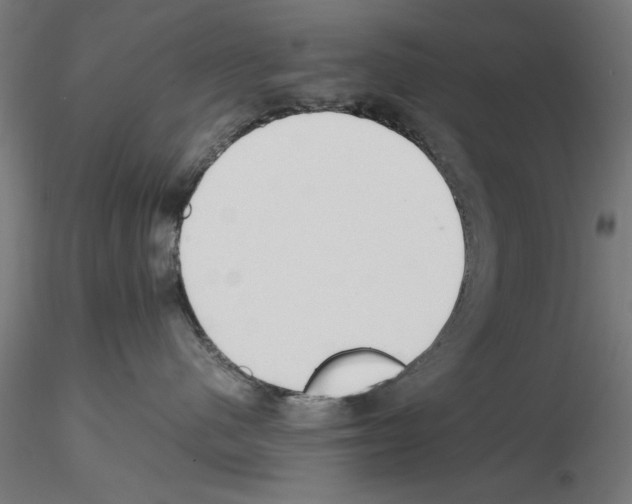 X0000115600480200912221150