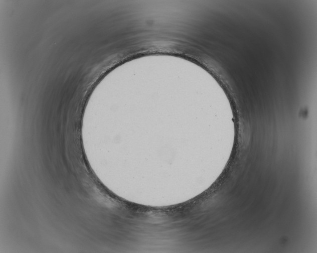 X0000115600481200912221149