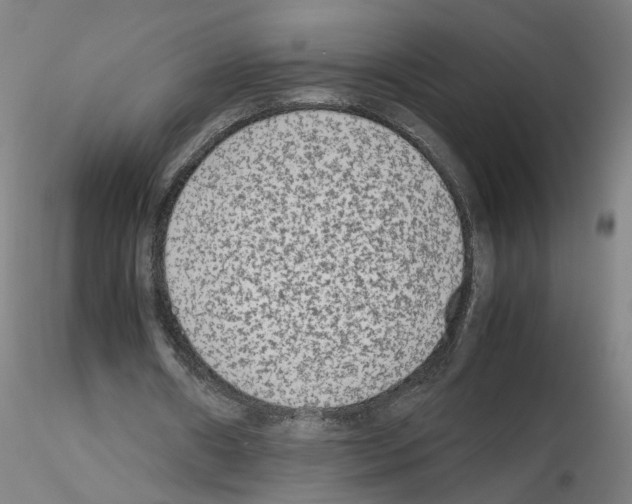 X0000115600482200912221149