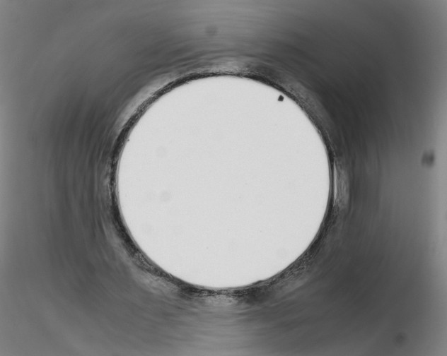 X0000115600483200912221149