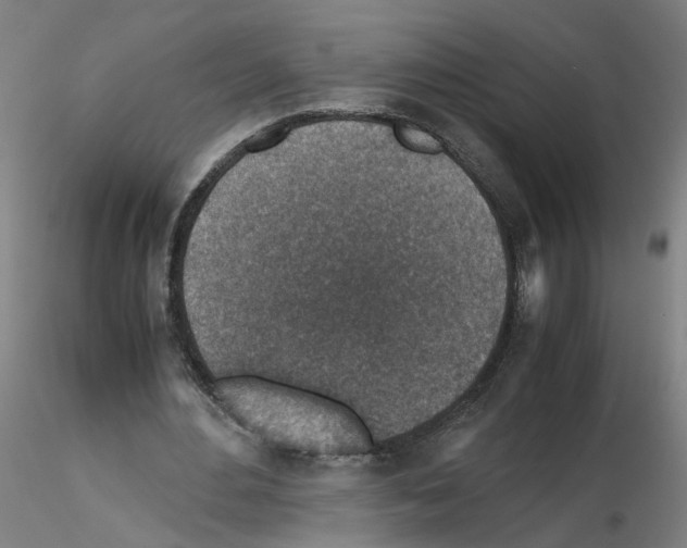 X0000115600484200912221149