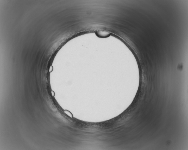 X0000115600485200912221149