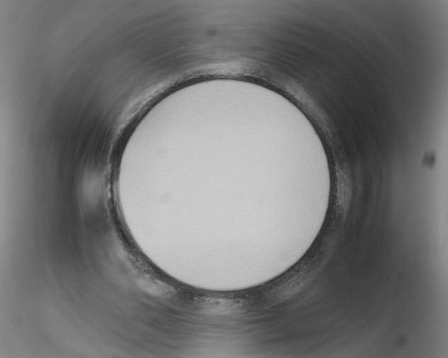 X0000115600486200912221149