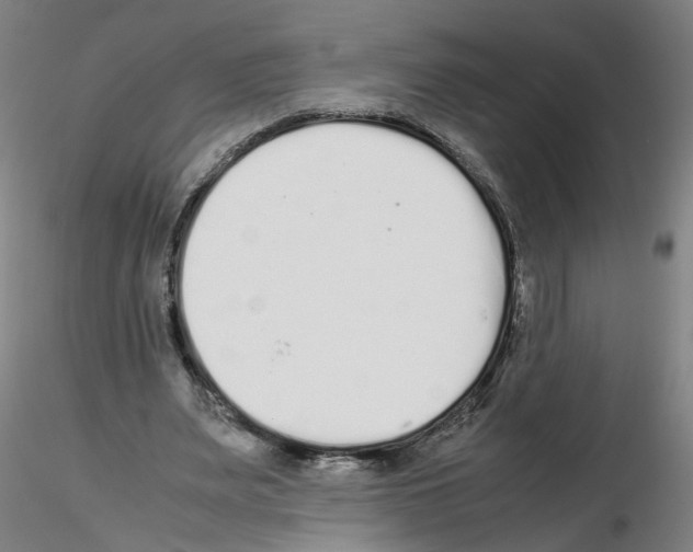 X0000115600487200912221149