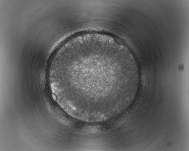 X0000115600488200912221149