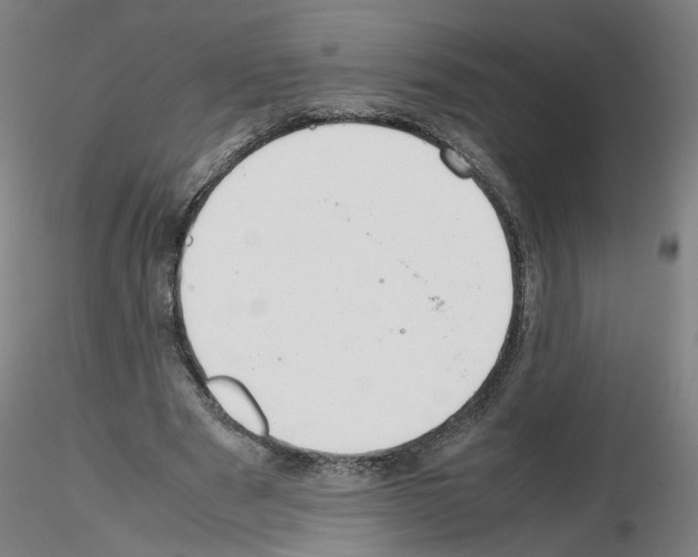 X0000115600489200912221149