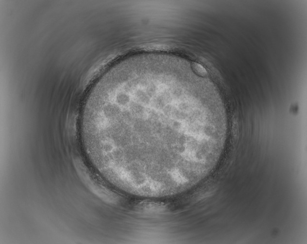 X0000115600491200912221149