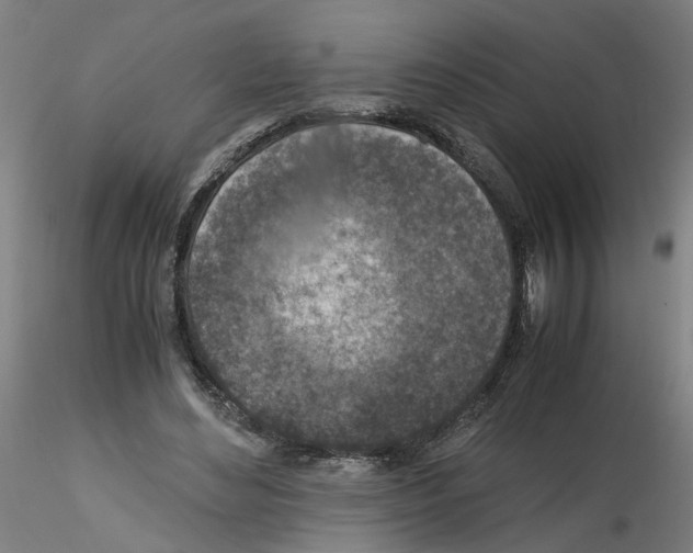 X0000115600492200912221149