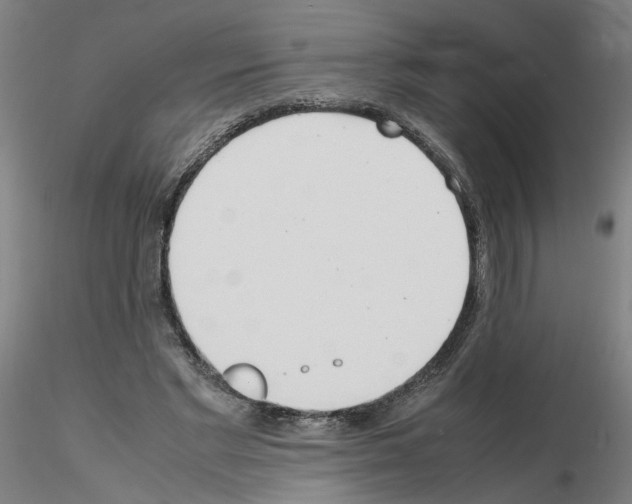 X0000115600493200912221149