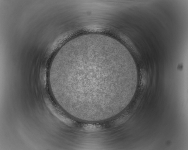 X0000115600494200912221149