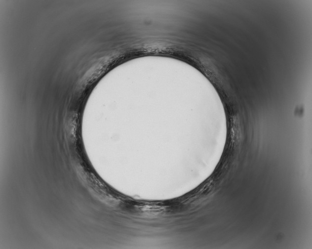 X0000115600495200912221149