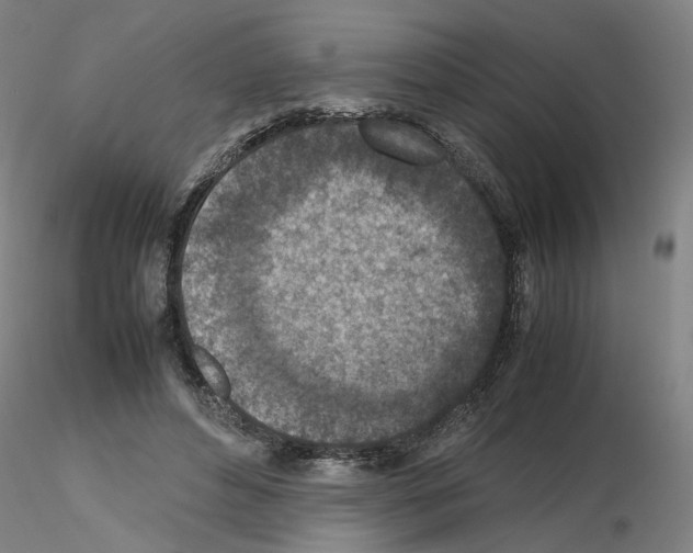 X0000115600496200912221149