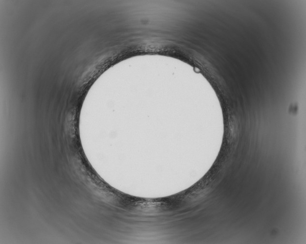 X0000115600497200912221149