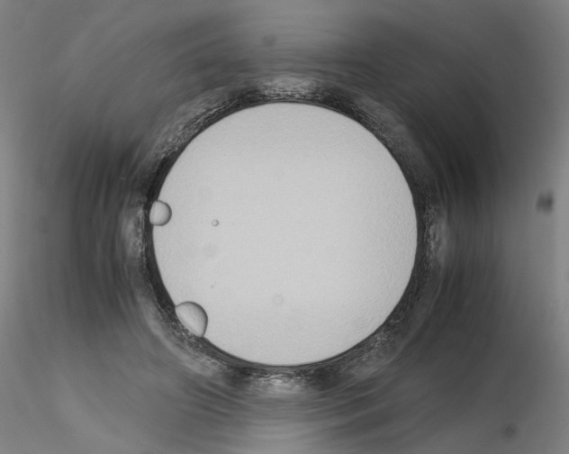 X0000115600498200912221149