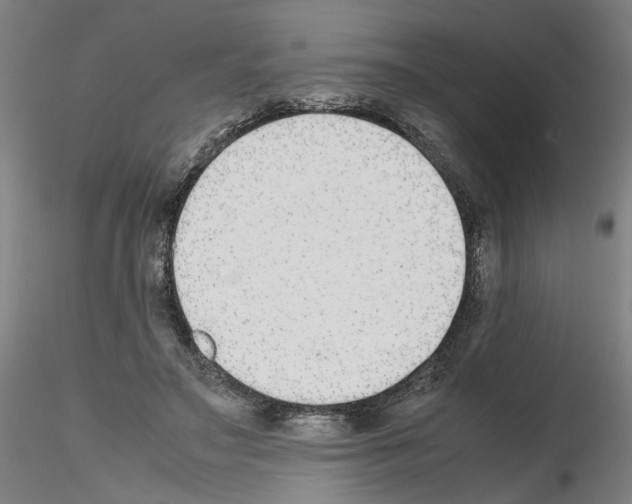 X0000115600499200912221149