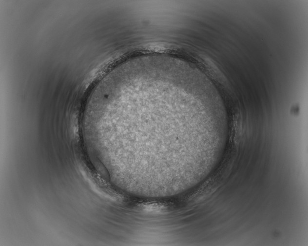 X0000115600500200912221149