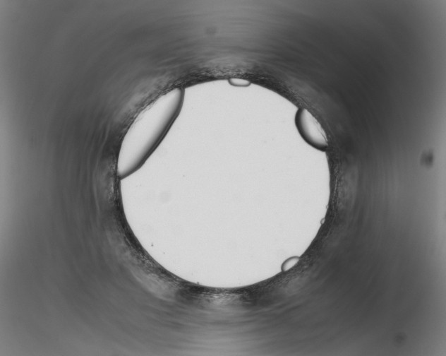 X0000115600501200912221149