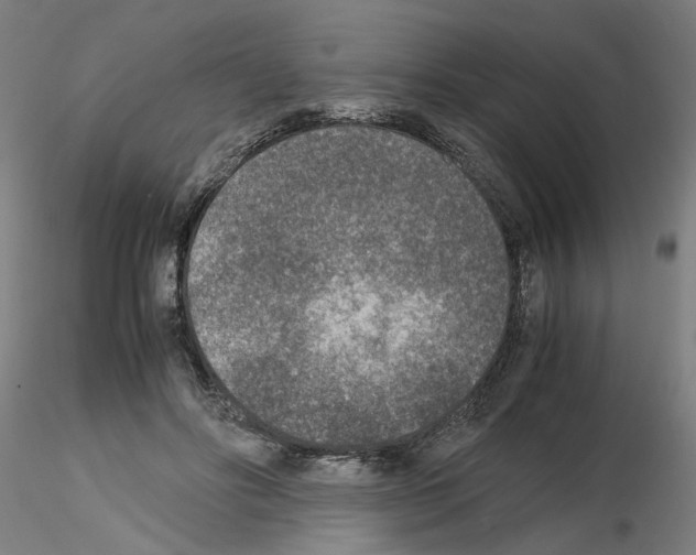 X0000115600502200912221149