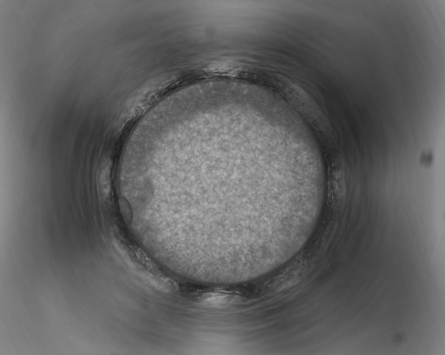 X0000115600504200912221149